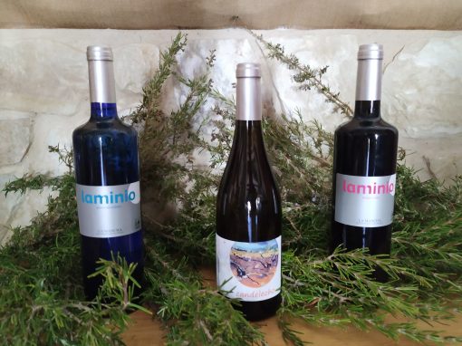 Vino Laminio